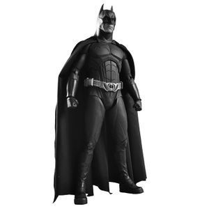 [DC: Batman Begins: Action Figure: Batman (Product Image)]