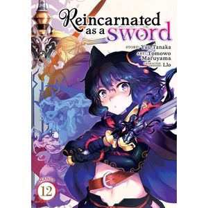 [Reincarnated As A Sword: Volume 12 (Product Image)]