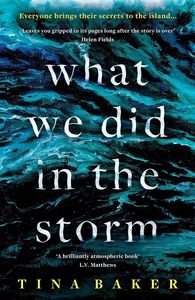 [What We Did In The Storm (Signed Edition Hardcover) (Product Image)]