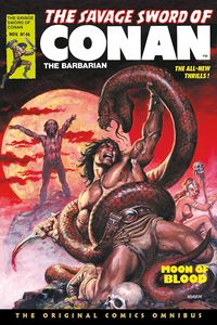 [The Savage Sword Of Conan: Original Comics Omnibus: Volume 4 (Hardcover) (Product Image)]