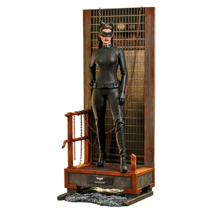 [The Dark Knight Trilogy: Hot Toys 1/6 Scale Action Figure: Catwoman (Product Image)]