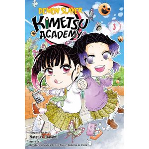 [Demon Slayer: Kimetsu Academy: Volume 3 (Product Image)]