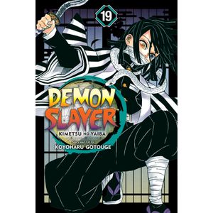 [Demon Slayer: Kimetsu No Yaiba: Volume 19 (Product Image)]