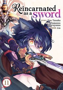 [Reincarnated As A Sword: Volume 11 (Product Image)]