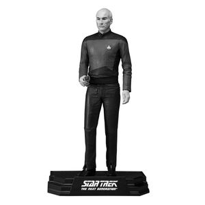 [Star Trek: Action Figure: Captain Jean Luc Picard (Product Image)]