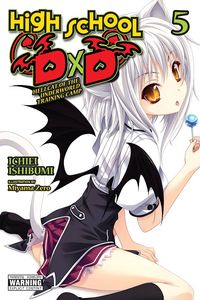 [High School DXD: Volume 5 (Light Novel) (Product Image)]