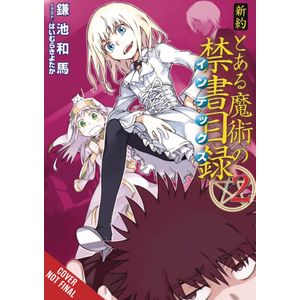 [A Certain Magical Index NT: Volume 2 (Light Novel) (Product Image)]