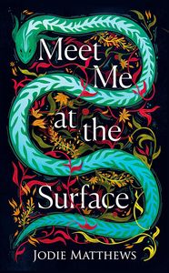 [Meet Me At The Surface (Hardcover) (Product Image)]