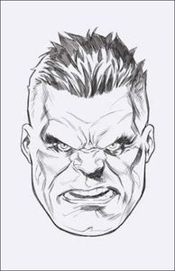 [Incredible Hulk #10 (Mark Brooks Headshot Sketch Virgin Variant) (Product Image)]