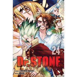 [Dr. Stone: Volume 24 (Product Image)]