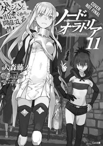 [Is It Wrong To Pick Up Girls In A Dungeon: Sword Oratoria: Volume 11 (Light Novel) (Product Image)]