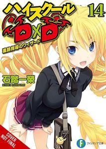 [High School DxD: Volume 14 (Light Novel) (Product Image)]