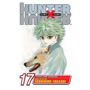 [Hunter X Hunter: Volume 17 (Product Image)]